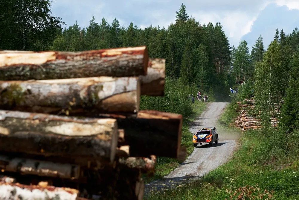 Thierry Neuville, Martijn Wydaeghe, Hyundai World Rally Team