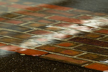 La Brickyard 400 se pospone por lluvia en el IMS