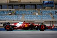 F1: Leclerc lidera sessão da manhã no Bahrein, marcada por Haas 'pelada' e dedo do meio de Verstappen; Bortoleto é 9º
