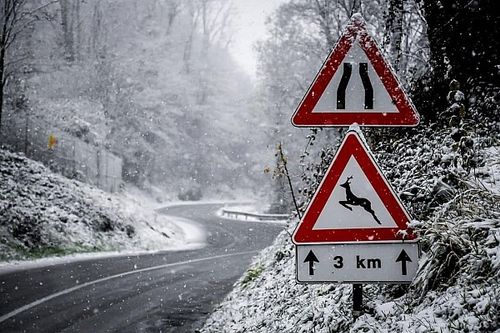 WRC: Michelin prepara los neum&aacute;ticos de nieve para Monza