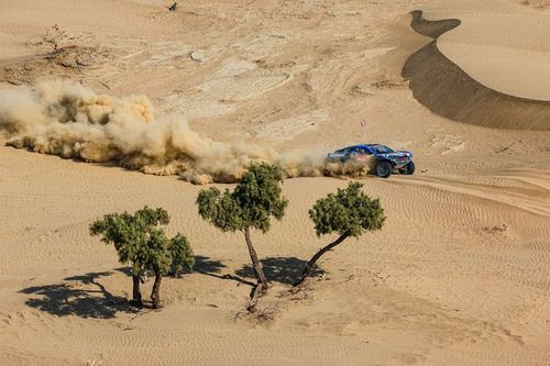 Dakar: Etap 12. Meta coraz bliżej