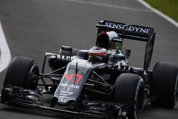 Stoffel Vandoorne, McLaren MP4-31, Testfahrer