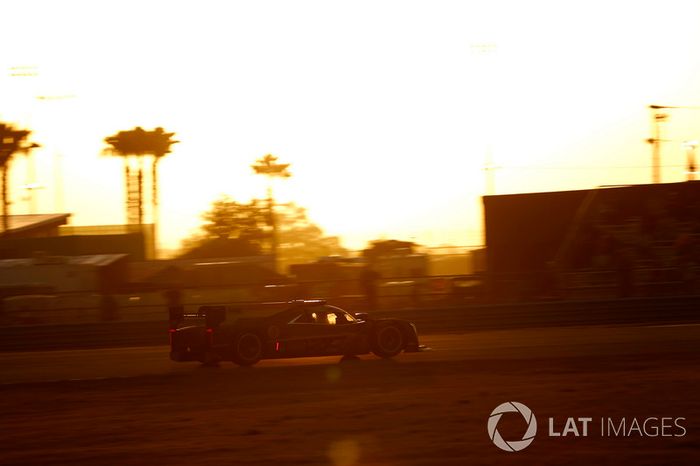 #5 Action Express Racing Cadillac DPi: Joao Barbosa, Filipe Albuquerque, Christian Fittipaldi