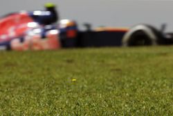 Carlos Sainz Jr., Scuderia Toro Rosso STR11