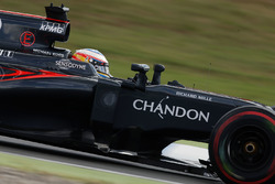 Фернандо Алонсо, McLaren MP4-31