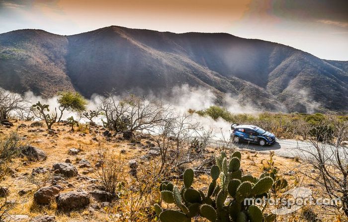 Elfyn Evans, Scott Martin, M-Sport Ford, Ford Fiesta WRC 2019