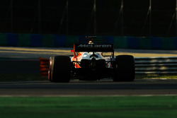 Стоффель Вандорн, McLaren MCL32