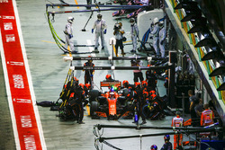 Пит-стоп: Стоффель Вандорн, McLaren MCL32