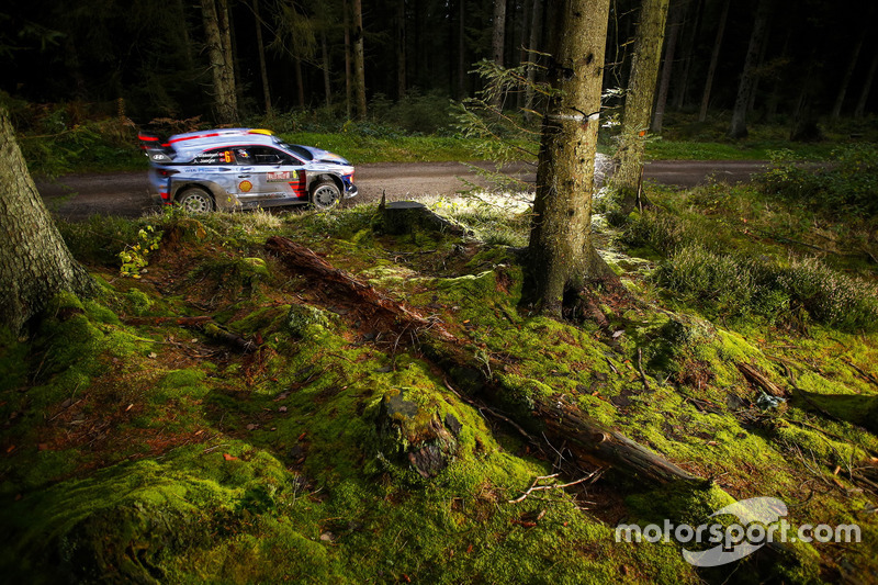 #7: Ab in den Wald!