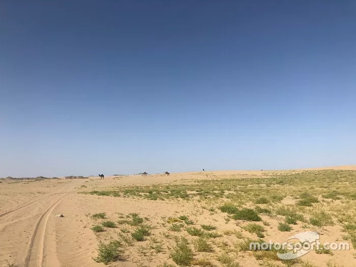 Etapa 7 (12 de enero): Riad-Wadi Al-Dawasir (741 km, de los cuales 546 son cronometrados)