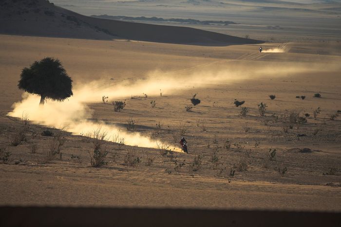 Acciones en el desierto