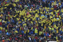Fans de Valentino Rossi, Yamaha Factory Racing