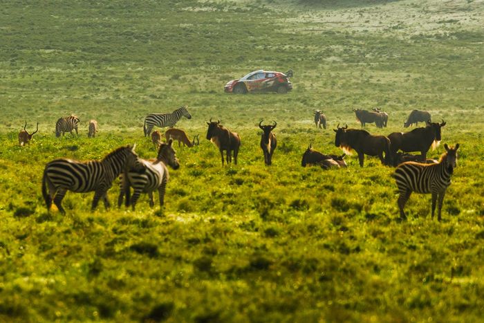 Sébastien Ogier, Vincent Landais, Toyota Gazoo Racing WRT Toyota GR Yaris Rally1