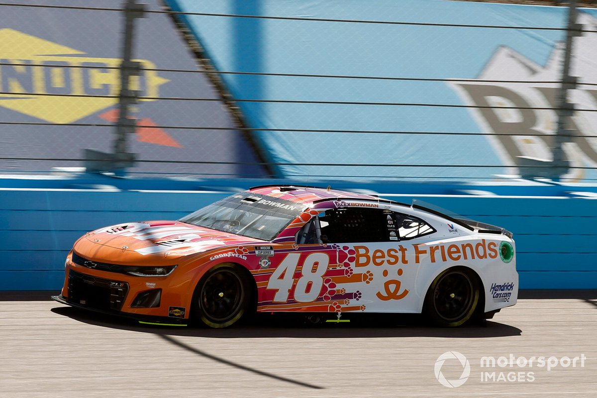 Alex Bowman, Hendrick Motorsports, Ally Best Friends Chevrolet Camaro