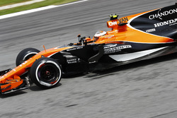 Stoffel Vandoorne, McLaren MCL32