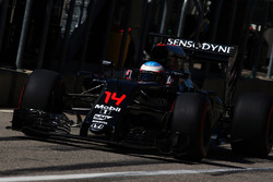 Фернандо Алонсо, McLaren MP4-31