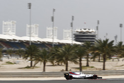 Gary Paffett, Williams FW40