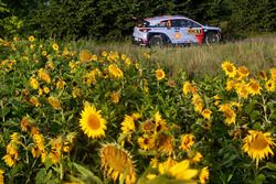 Thierry Neuville, Nicolas Gilsoul, Hyundai i20 WRC, Hyundai Motorsport