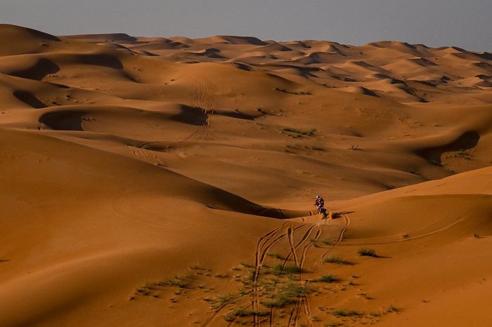 #47 Red Bull KTM Factory Racing: Kevin Benavides