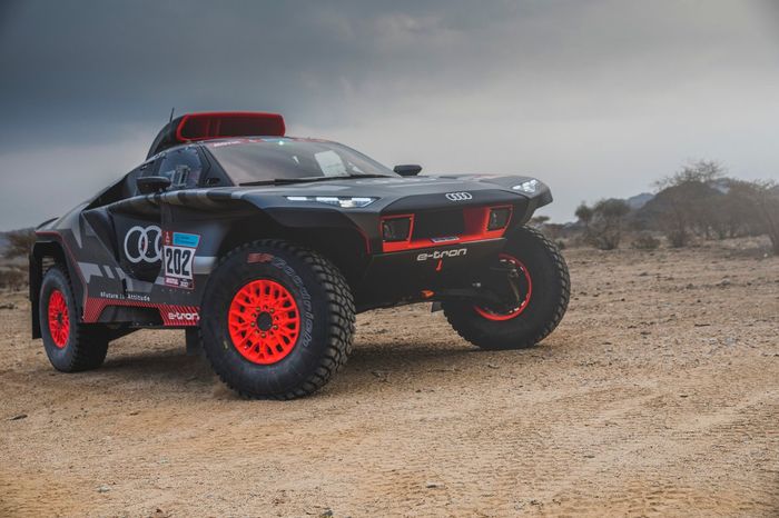 #202 Team Audi Sport Audi: Carlos Sainz, Lucas Cruz