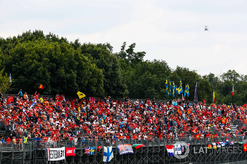 Tifosi