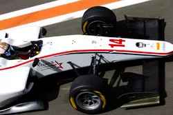 Matthew Parry, Koiranen GP