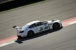 Alex Zanardi, Roal Motorsport