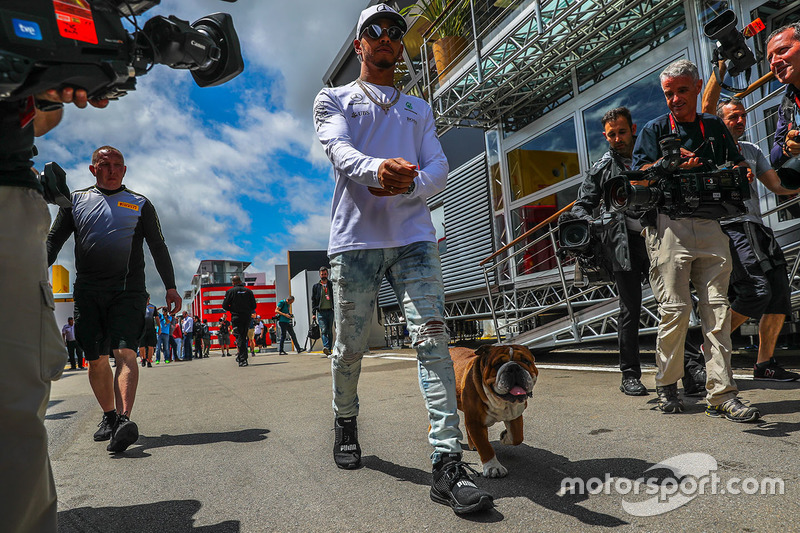 Lewis Hamilton, Mercedes AMG F1, et son chien Roscoe