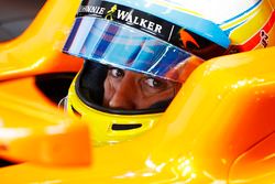 Fernando Alonso, McLaren