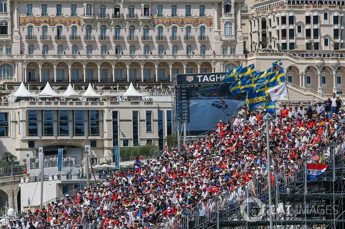 Tifosi