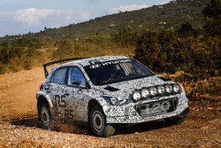Kevin Abbring e Sebastian Marshall, Hyundai i20 R5 WRC, Hyundai Motorsport
