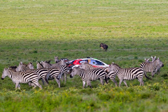 Elfyn Evans, Scott Martin, Toyota Gazoo Racing WRT Toyota GR Yaris Rally1