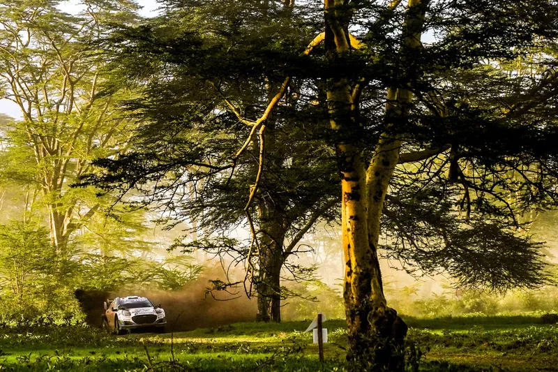 Joshua Mcerlean, Eoin Treacy, M-Sport Ford World Rally Team Ford Puma Rally1