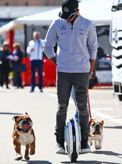 Lewis Hamilton, Mercedes AMG F1 op een hoverboard in de paddock met zijn honden Roscoe en Coco