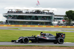 Fernando Alonso, McLaren MP4-31