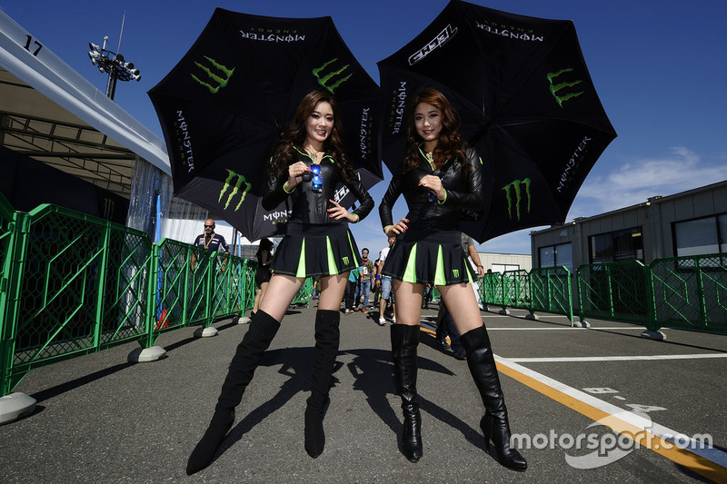 Hot Monster energy girls