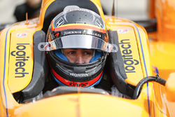 Fernando Alonso, Andretti Autosport, Honda
