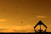 WRC Rally Poland - Shakedown y Día 1