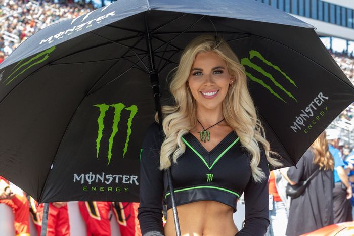 Monster Energy pit girl