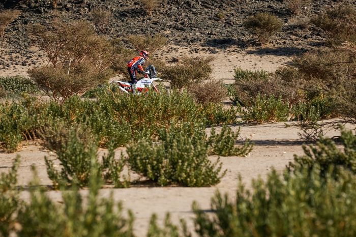 #21 KTM Factory Team: Daniel Sanders