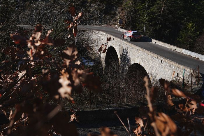 Thierry Neuville, Martijn Wydaeghe, Hyundai Motorsport Hyundai i20 Coupe WRC