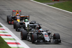 Фернандо Алонсо, McLaren MP4-31