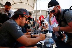 Fernando Alonso, McLaren, Stoffel Vandoorne, McLaren