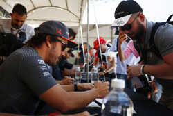 Fernando Alonso, McLaren, Stoffel Vandoorne, McLaren