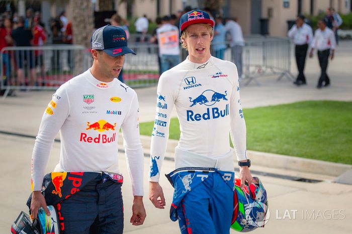 Daniel Ricciardo, Red Bull Racing y Brendon Hartley, Scuderia Toro Rosso
