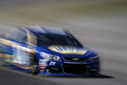 Chase Elliott, Hendrick Motorsports Chevrolet