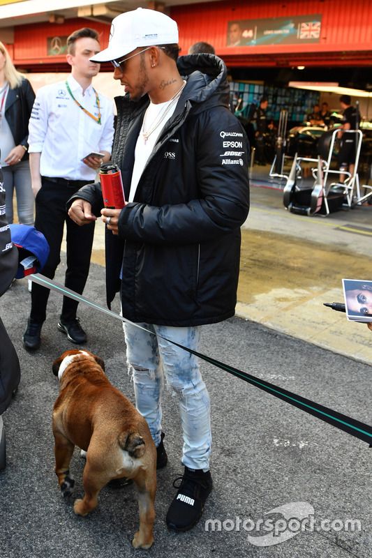 Lewis Hamilton, Mercedes AMG F1 swith de su perro Roscoe