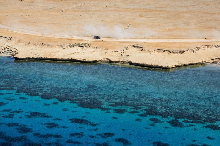 #299 The Dacia Sandriders Dacia: Nasser Al-Attiyah, Fabian Lurquin