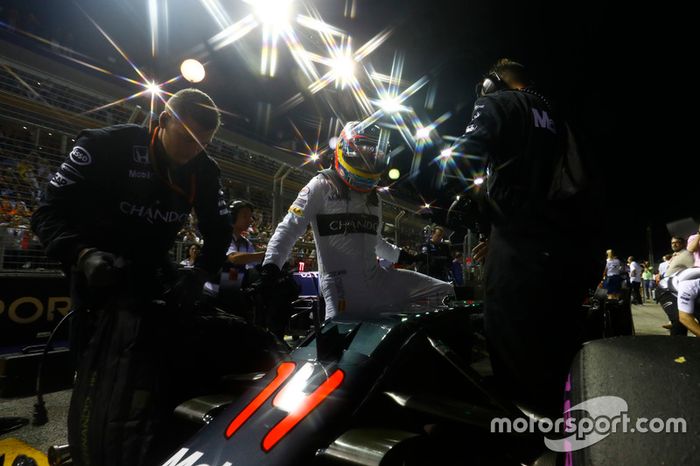 Fernando Alonso, McLaren MP4-31