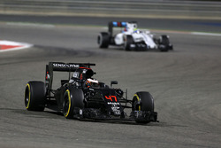 Стоффель Вандорн, McLaren MP4-31